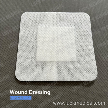 Wound Dressing for Surgical Use